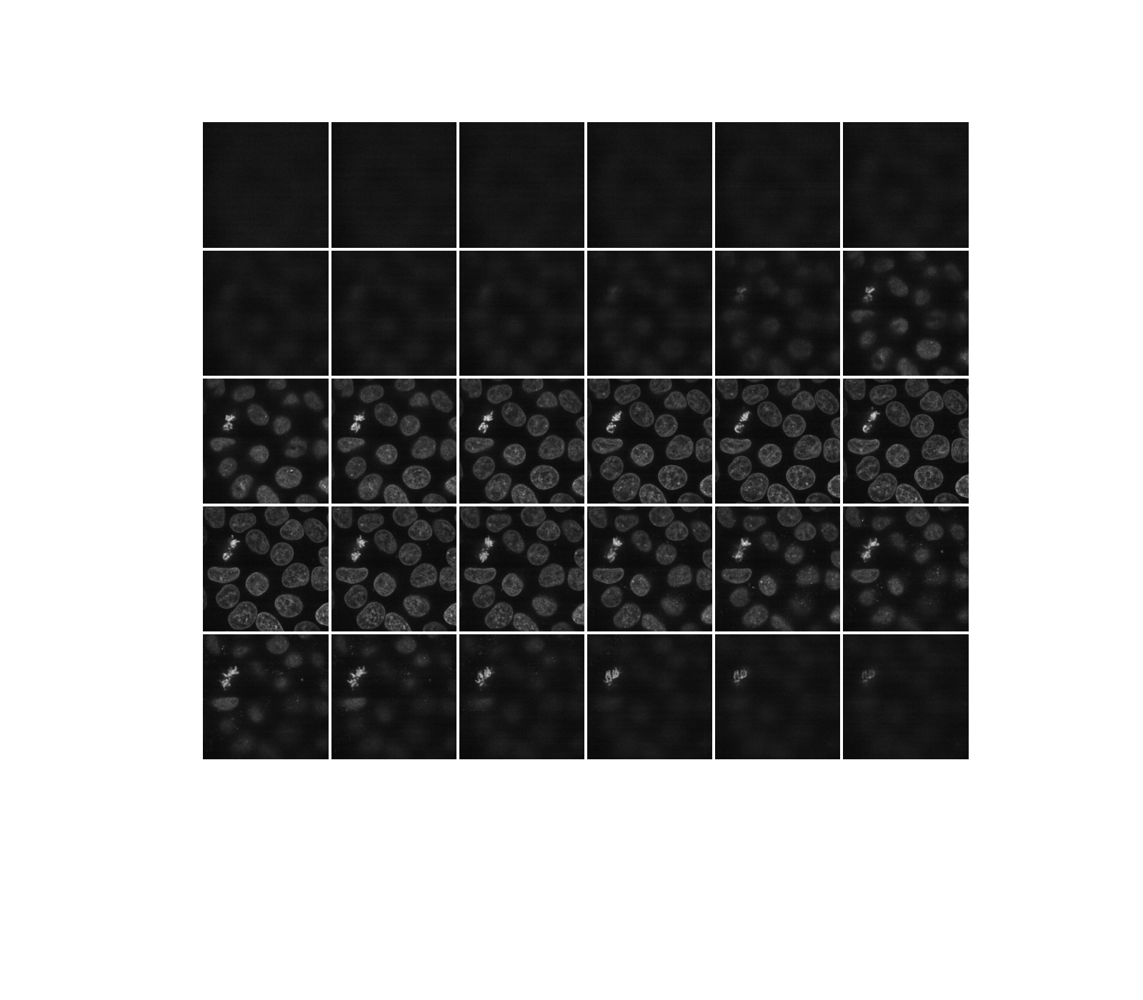 plot 3d image processing