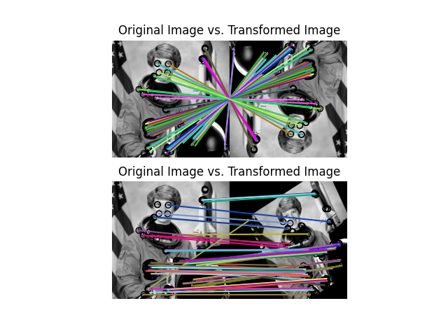 Original Image vs. Transformed Image, Original Image vs. Transformed Image