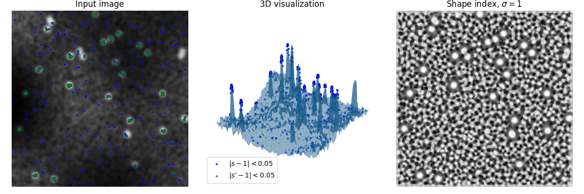 Input image, 3D visualization, Shape index, $\sigma=1$